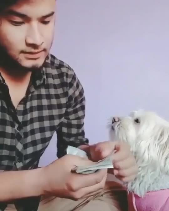 Funny video between man and his dog