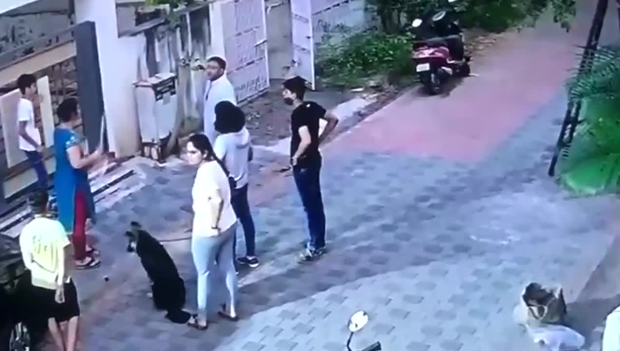 I agree the kid should'nt been stopped