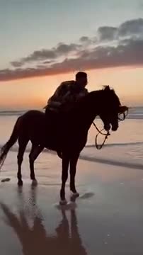 TỰ DO 🇫🇷LIBERTÉ 🇪🇸LIBERTAD 🇺🇸FREEDOM❗️🇺🇸🇺🇸🇺🇸