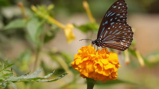 A peaceful day with Nature.