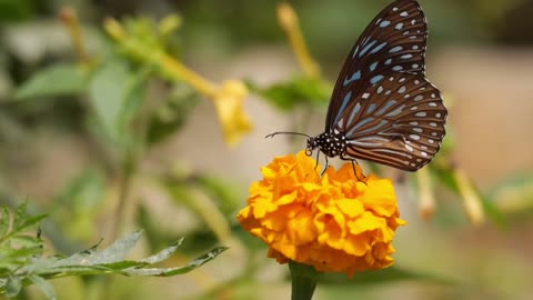 A peaceful day with Nature.