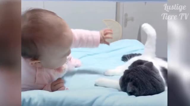 the baby and the cat