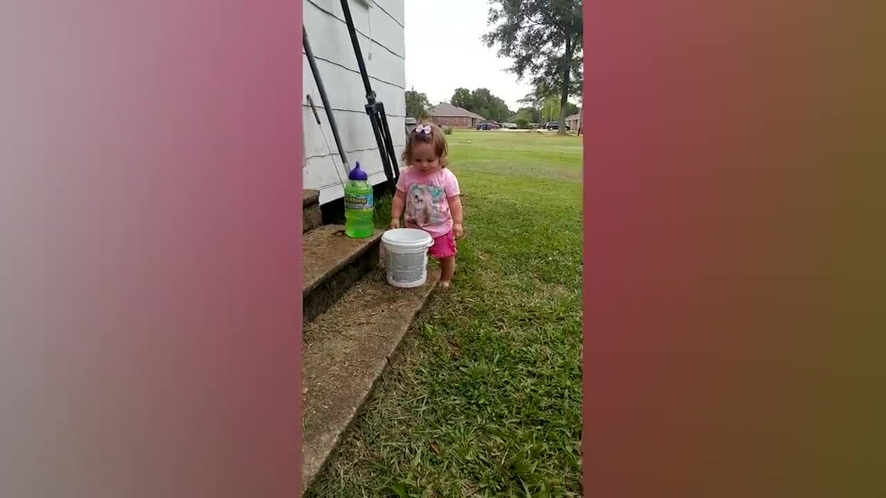 Cute babies playing with pets - cats and dogs