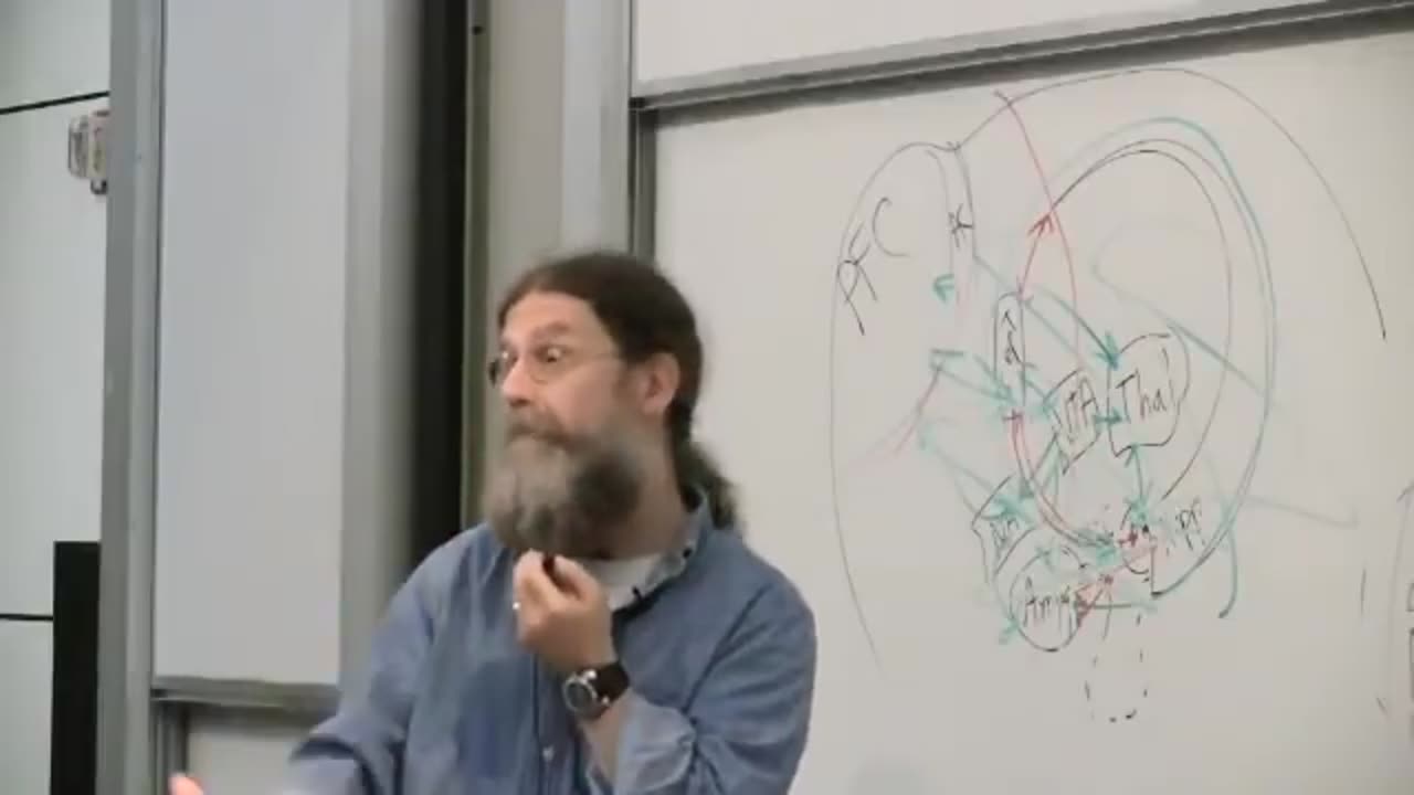 Limbic System. Robert Sapolsky