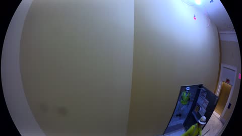 3491CHOB02Stair7_2021-01-06_01h20min00s503ms.mp4