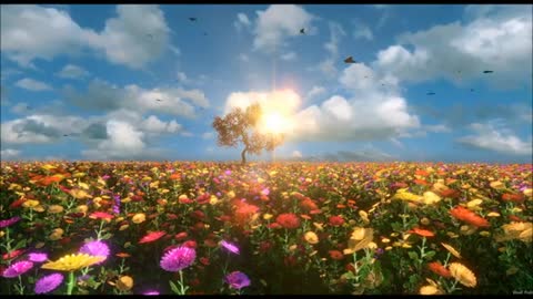 Relaxing Music | Sleeping, Meditation, Stress Relief | [416] ⭐️