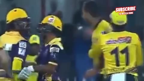 cricket fight moment