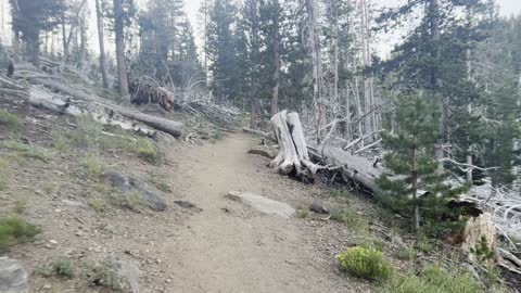 Sunrise Ascension of Tam McArthur Rim Trail – Alpine Hiking of Central Oregon – 4K