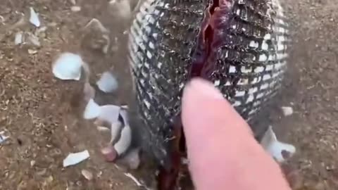 Outdoor catch the sea food