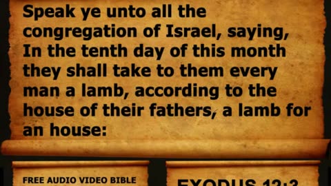 Bible Book 02. Exodus Complete 1-40, King James Version (KJV) Read Along Bible