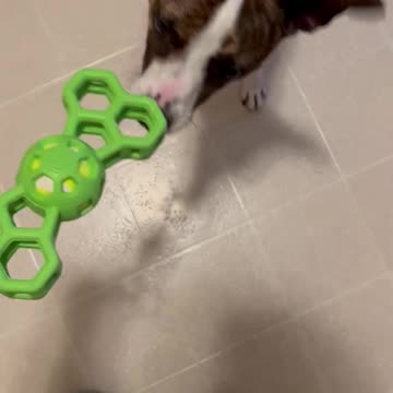 Reward for Princess for nail trim