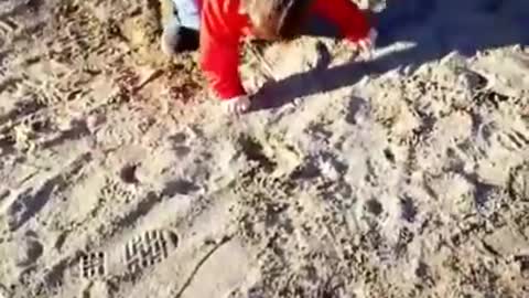 Toddler red slide lands on belly