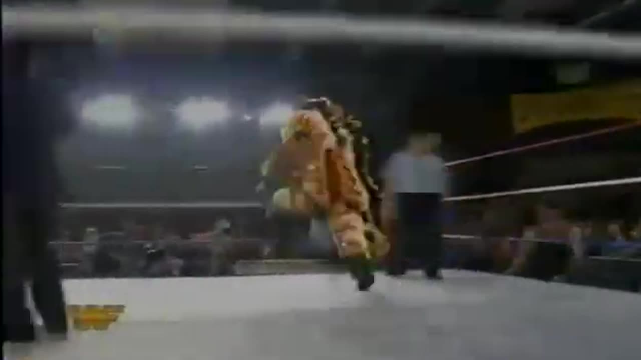 WWF Wrestling Challenge Apr 03 1994