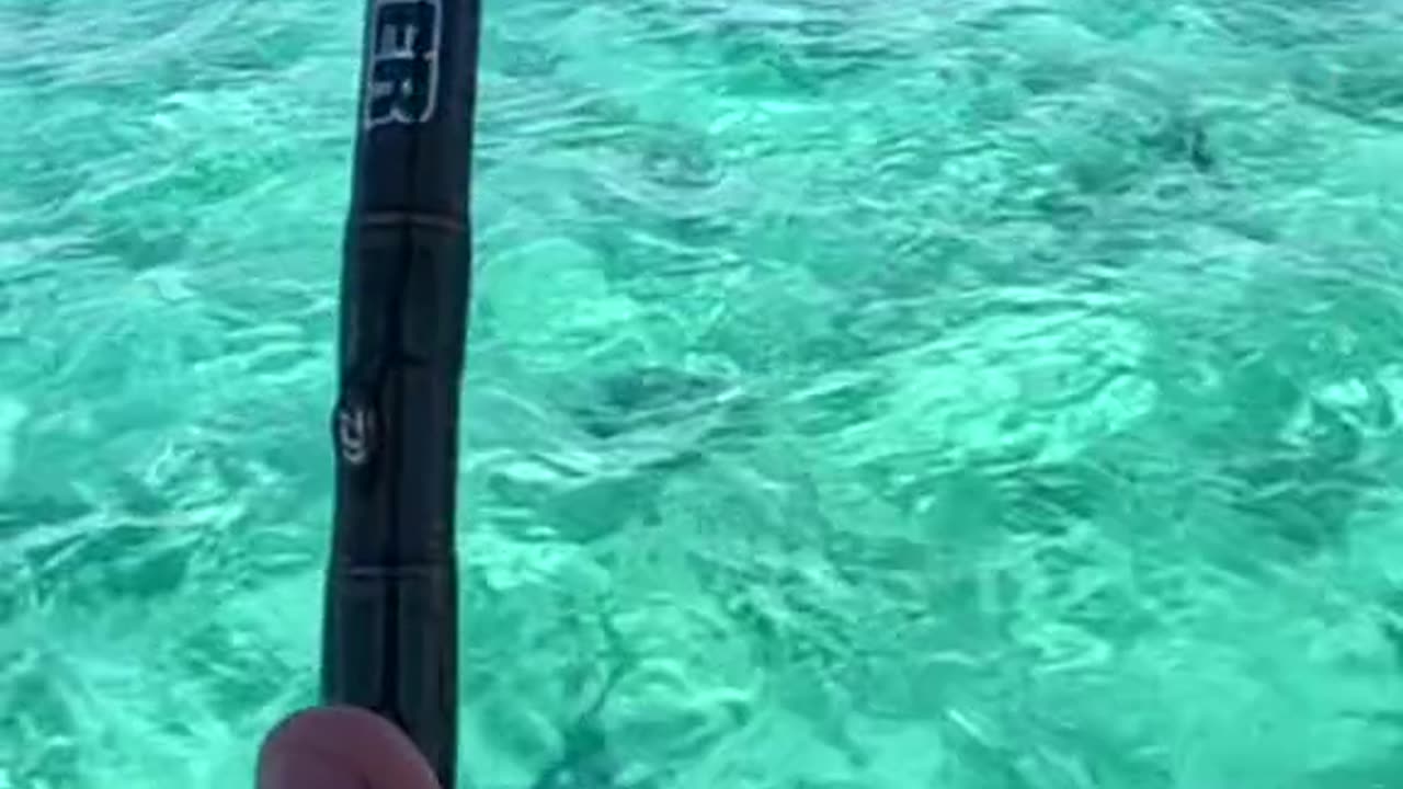 Greatest Fishing Videos of All Time Part 9