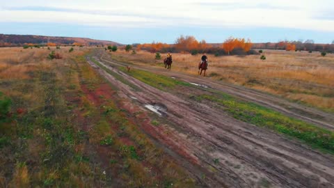 Two women are galloping horses on the field