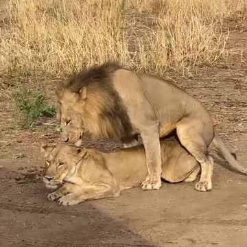 what do you think about it 😁