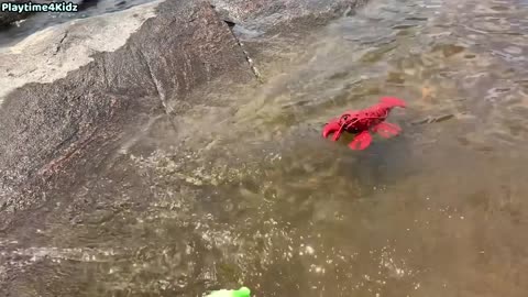 Sea Animal Toys This Summer at the Shore