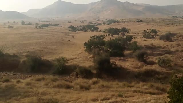 Desert scene