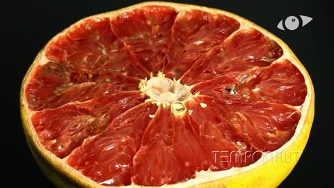Grapefruit Time Lapse