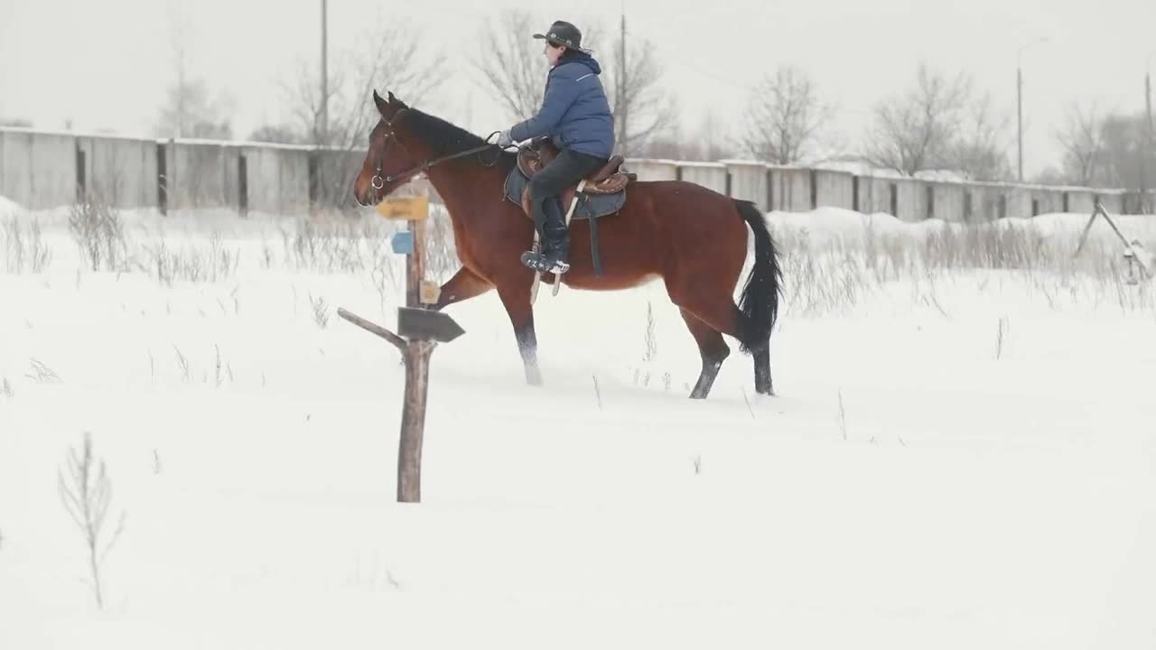 Woman rider on red horse riding on snow field