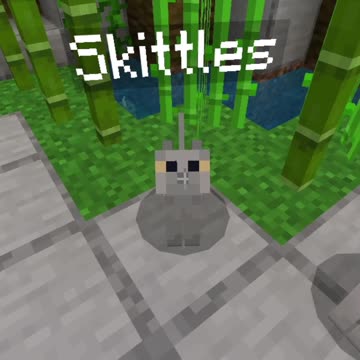 Yoda the Cat... Minecraft