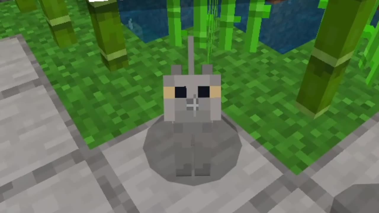 Yoda the Cat... Minecraft