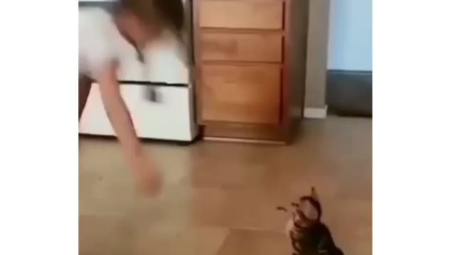 Tiny Kitten Fails Spectacularly With Jump