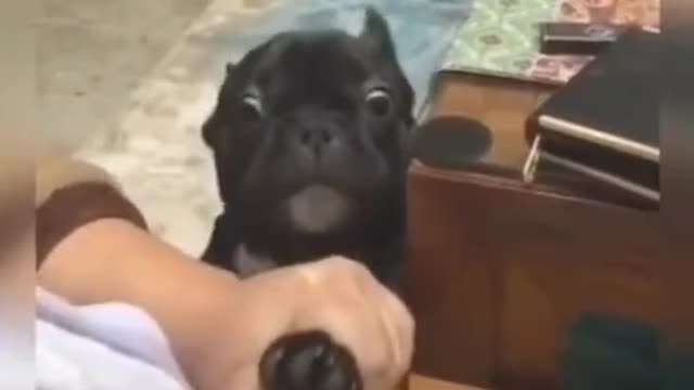 Funniest nail cutting expression
