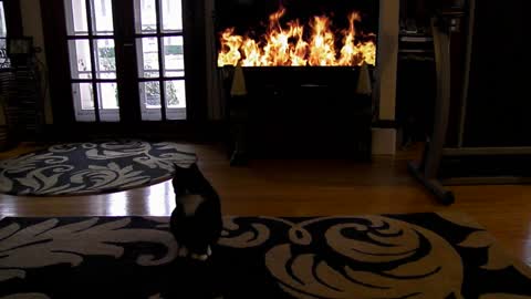 Crackling Fireplace courtesy of Roku TV