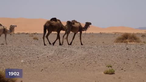 Scientists Terrifying New Discovery Under Sahara Desert Changes Everything! Let the earth breath