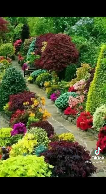 Nature Video Clips # - 07