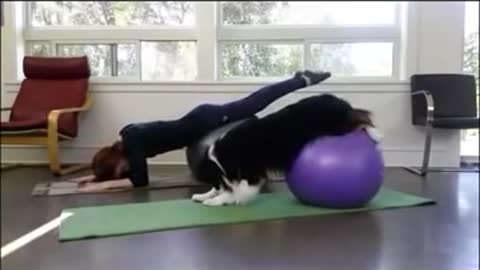 O MY GOD.DOG LEALY DOING TAUGHT JOGA.Excenance