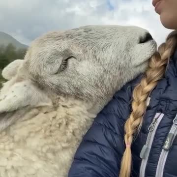 so cute ❤ respect all animals, go vegan 🌱