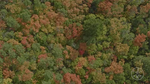 COLORFUL HARVEST 8K HDR (FUHD) 60P (DolbyVision)