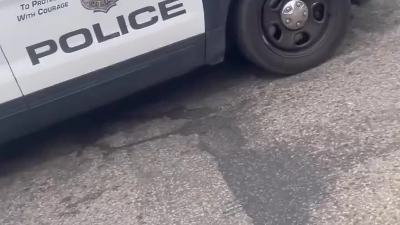 The Police Have Given Up - GTA in real life!