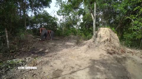 Build The Most Living Room Temple Underground And Tunnel Swimming Pool 75Day