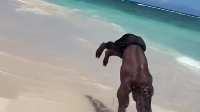 flip#backflip#acrobatics