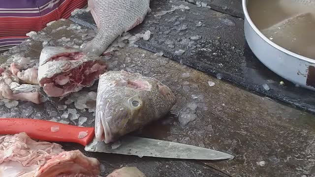 Fish top 7