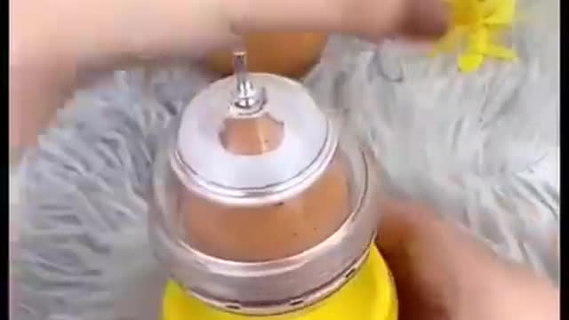 Yellow egg