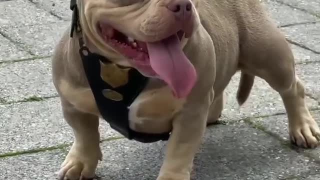 Can I give you one of them?