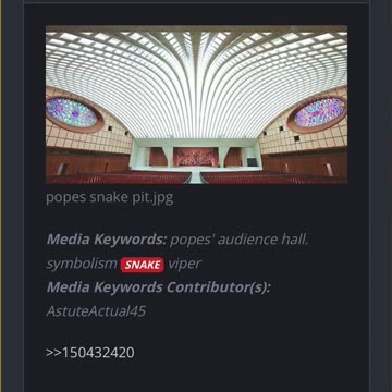 Pope’s Vatican Snake Auditorium