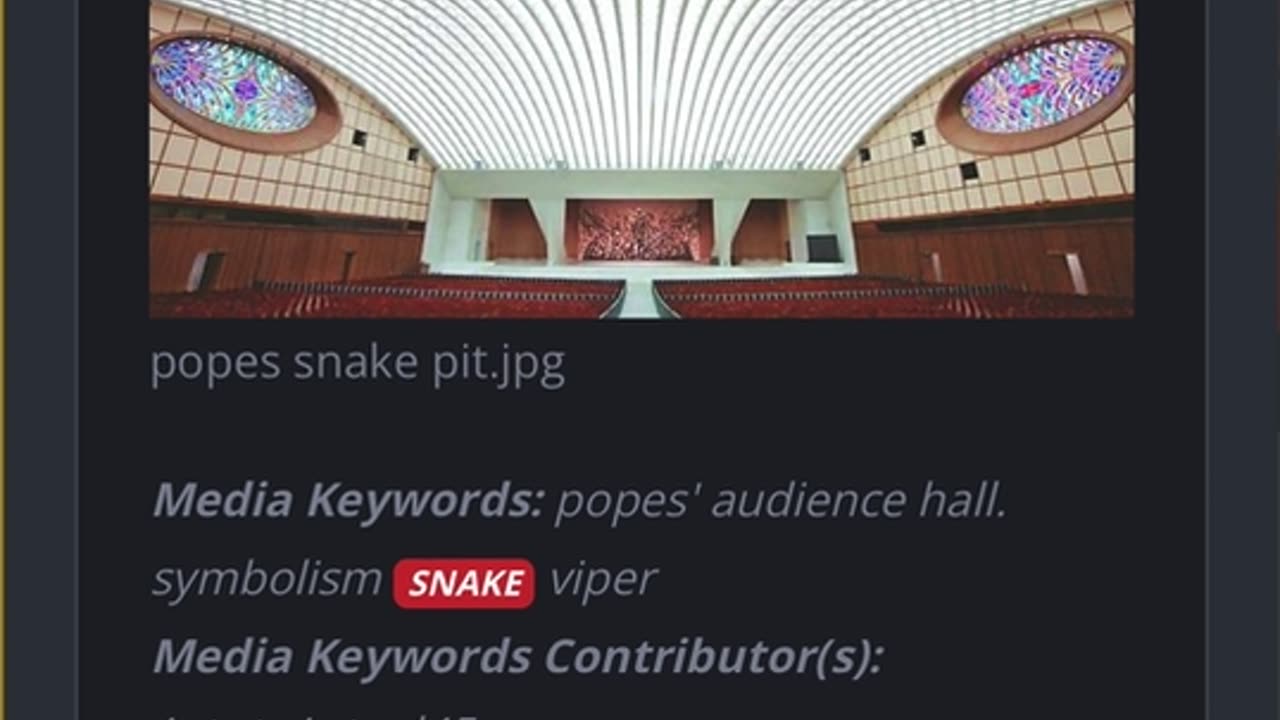 Pope’s Vatican Snake Auditorium