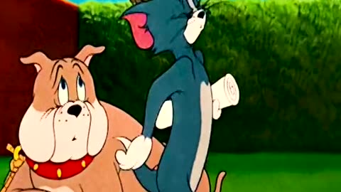 Tom and Jerry cartoon network shows