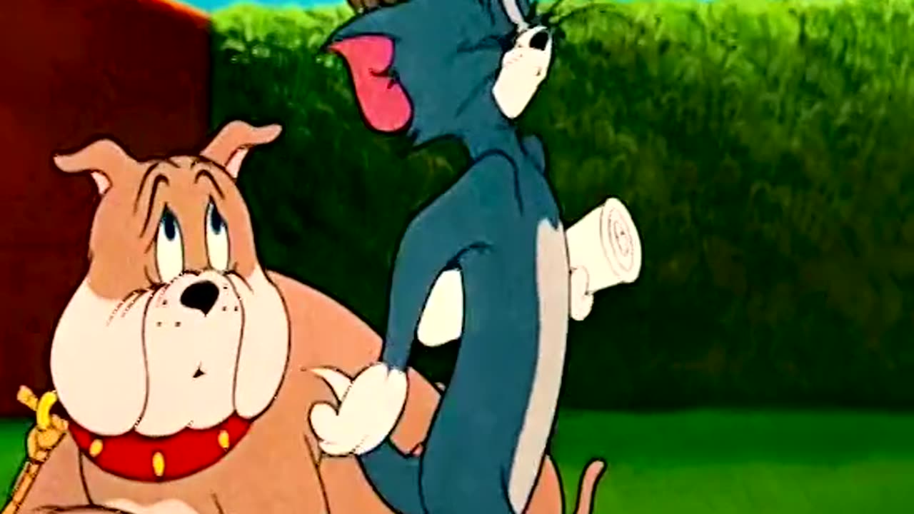 Tom and Jerry cartoon network shows