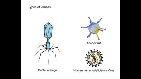 TUTTA LA VERITA' SUL CORONAVIRUS - Dott. Oliviero Francesco