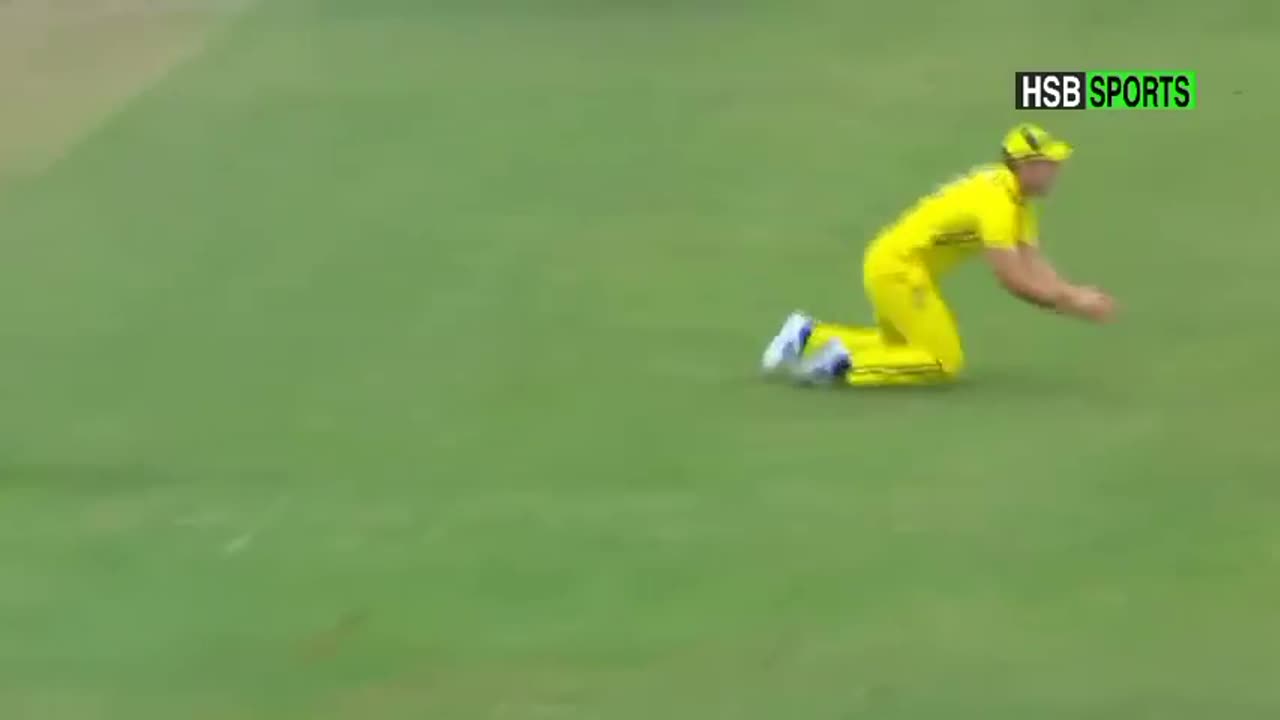 Carikit heghlight Australia vs sauthafreka 3rd t20