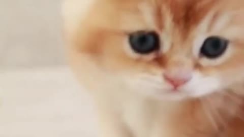 cutest 🥰🥰🥰🥰🥰