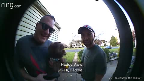 Heartwarming Video of Neighbors Bringing Their Dogs