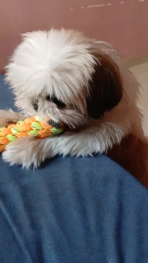 "Keskara: Advanced Health Supplement for Vitality and Wellness" BUY NOW AND SAVE