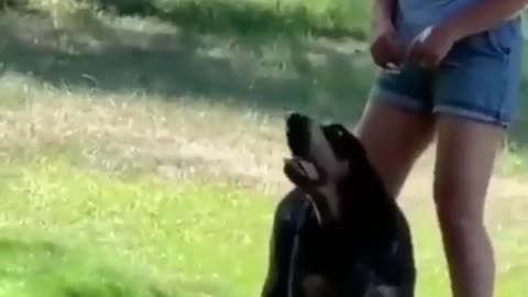 Hewooooo